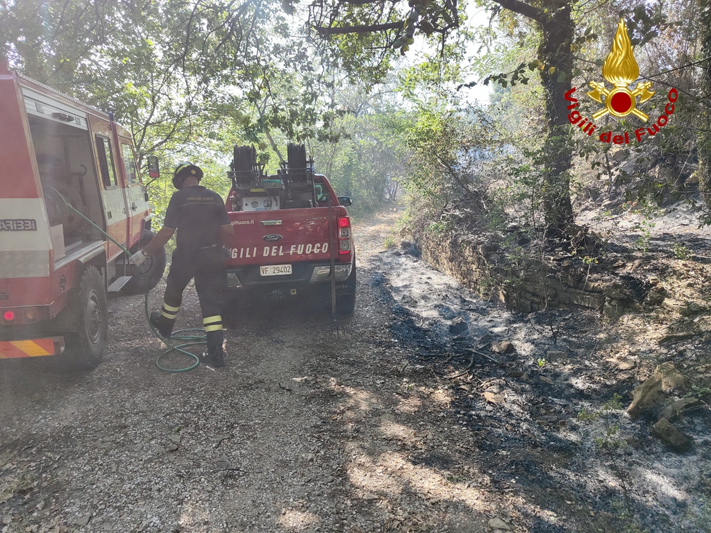 Immagine per Rebus incendi dolosi sul Carso, i vigili del fuoco: «Nessuna certezza»